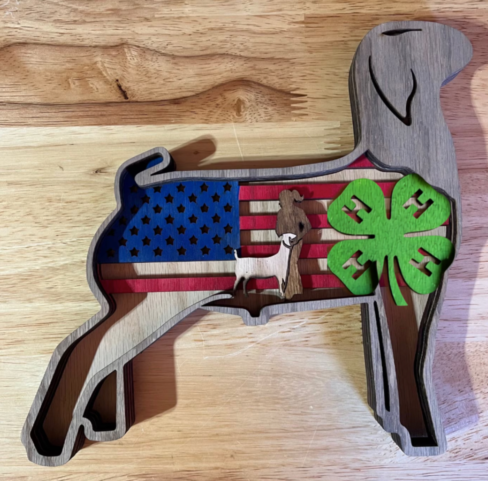 Show Market Goat USA Flag Show Girl Boy buyer gift