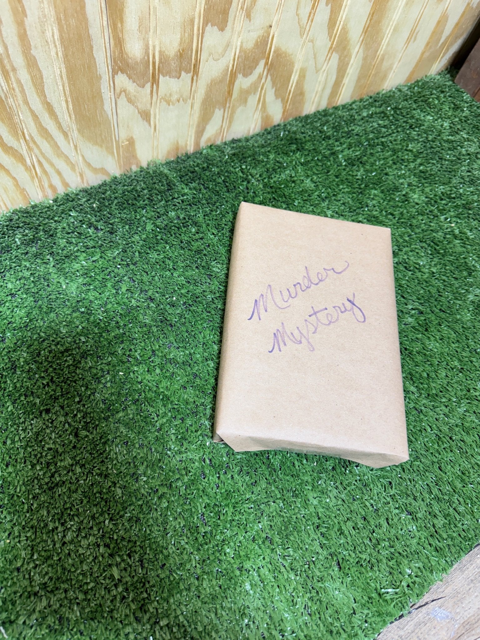 Blind Book by Bunkhouse Studio LLC featuring a minimalist design with a sleek, modern look and textured cover.