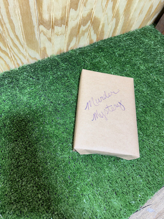 Blind Book by Bunkhouse Studio LLC featuring a minimalist design with a sleek, modern look and textured cover.