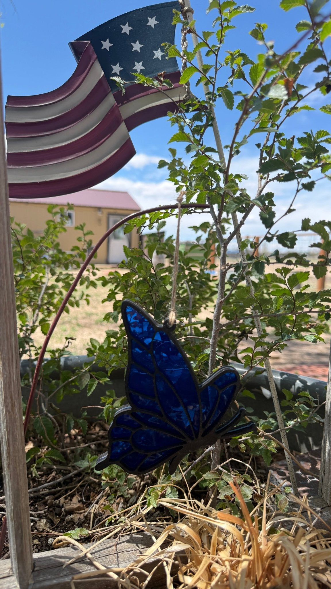 Rustic modern butterfly lover sun catcher by Bunkhouse Studio LLC hanging in a window, featuring vibrant butterfly designs.